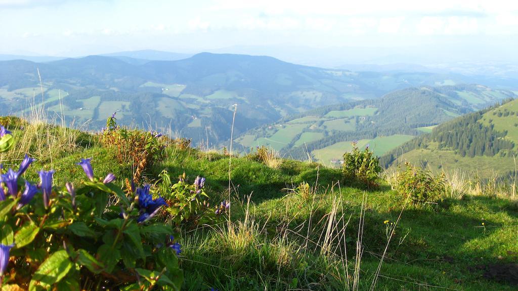 Gasthof Unterberger Sankt Kathrein am Offenegg Exterior foto